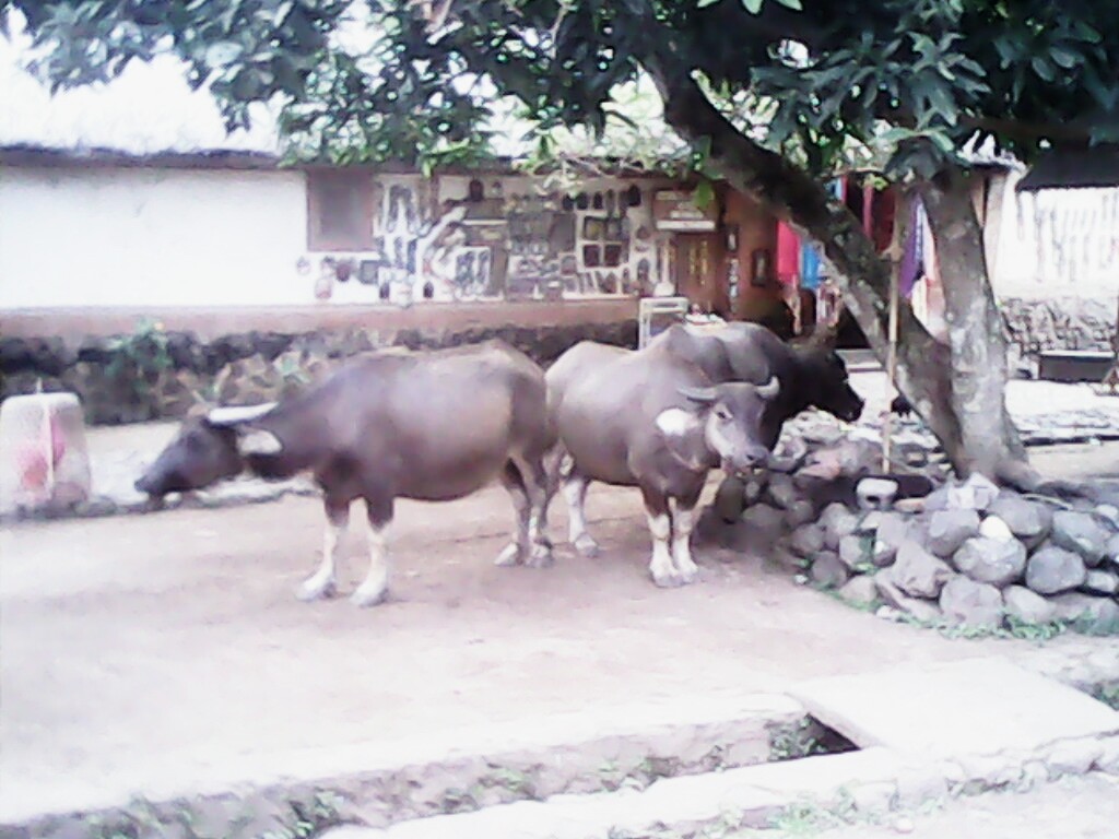 wpid-img_20140821_143944.jpg image