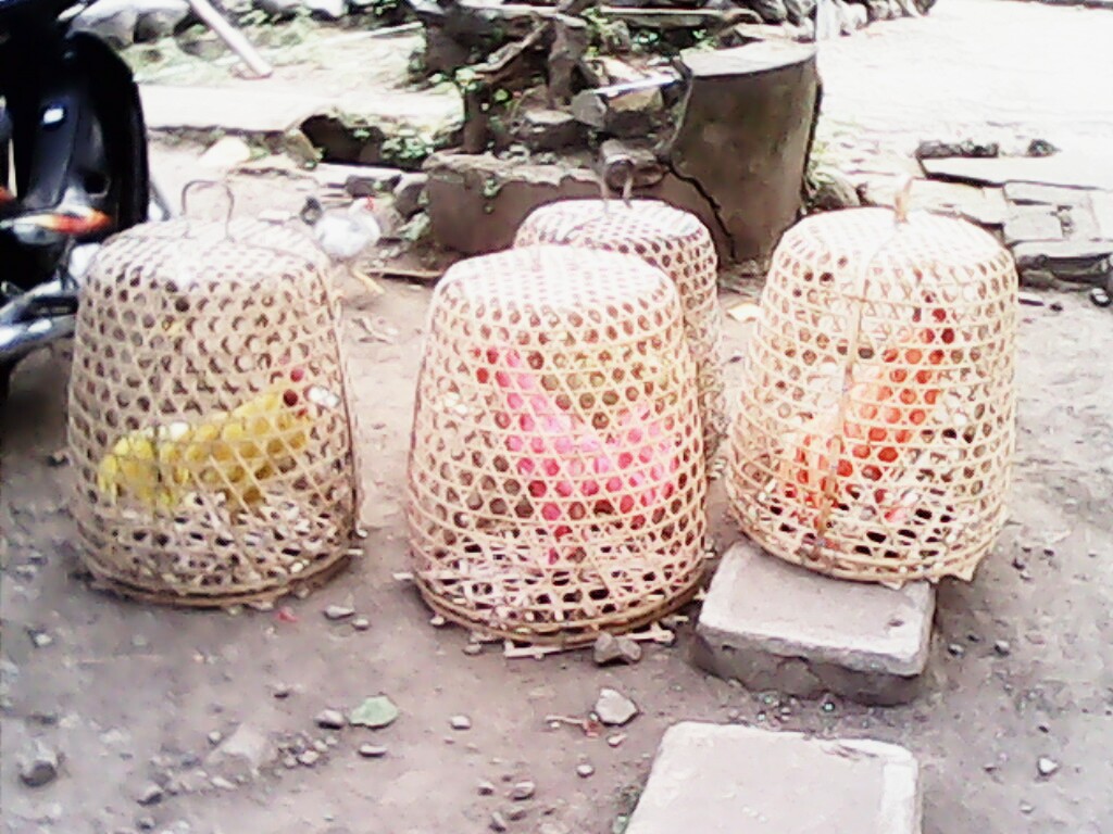 wpid-img_20140821_144013.jpg image